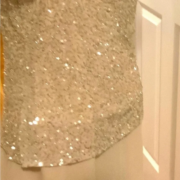 ♥️Lovely J Kara Gold Sequin Maxi Dress. Light gold/beige color. Size 12 - Picture 8 of 9